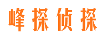 北屯镇侦探